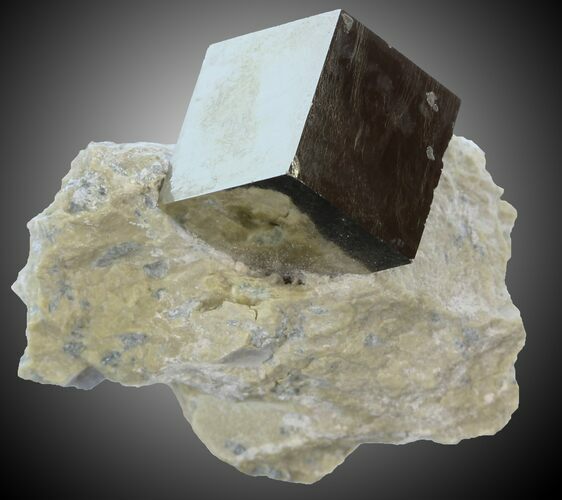Pyrite Cube on Matrix - Navajun, Spain #30963